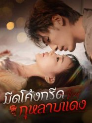 มีดโค้งกรีดกุหลาบแดง